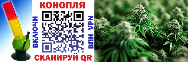 Продажа наркотиков Берёзовка КОКАИН Псилоцибиновые грибы Меф мяу мяу Амфетамин ГАШИШ Бошки Шишки