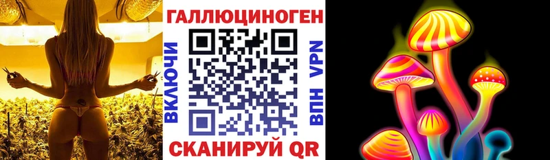 даркнет сайт  Берёзовка  Галлюциногенные грибы прущие грибы 